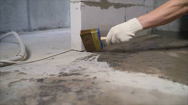SJ Waterproofing Pros Waterproofing coverage map for Ora, IN and surrounding area